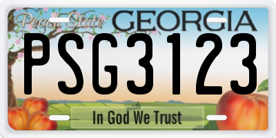 GA license plate PSG3123