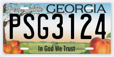 GA license plate PSG3124