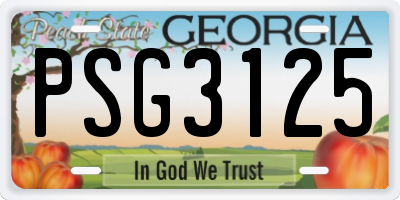 GA license plate PSG3125
