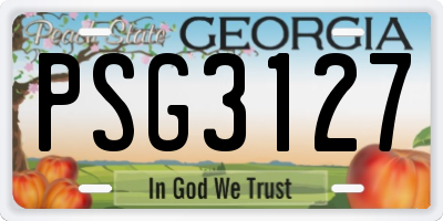 GA license plate PSG3127
