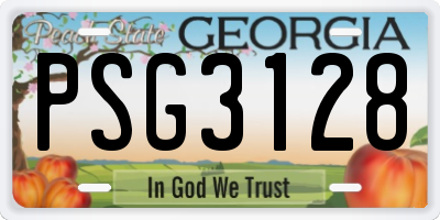 GA license plate PSG3128