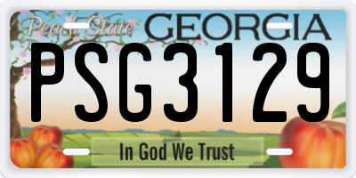 GA license plate PSG3129
