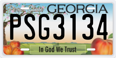 GA license plate PSG3134
