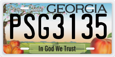 GA license plate PSG3135