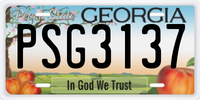 GA license plate PSG3137