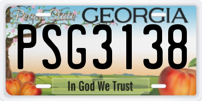 GA license plate PSG3138