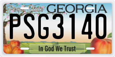 GA license plate PSG3140
