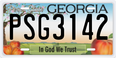 GA license plate PSG3142