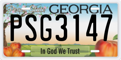 GA license plate PSG3147