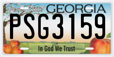 GA license plate PSG3159