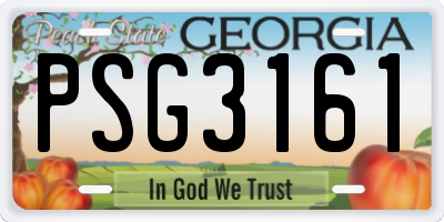 GA license plate PSG3161