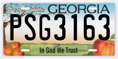GA license plate PSG3163