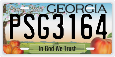 GA license plate PSG3164