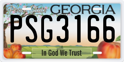 GA license plate PSG3166