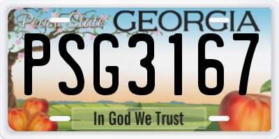 GA license plate PSG3167