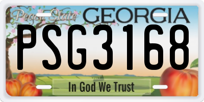 GA license plate PSG3168
