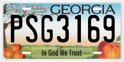 GA license plate PSG3169
