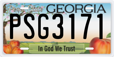 GA license plate PSG3171