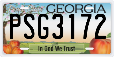 GA license plate PSG3172