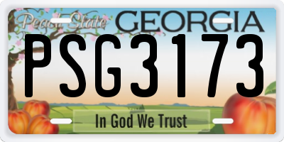 GA license plate PSG3173