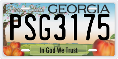 GA license plate PSG3175