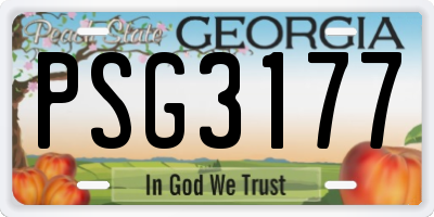 GA license plate PSG3177
