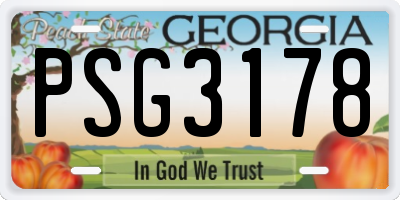 GA license plate PSG3178
