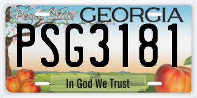 GA license plate PSG3181
