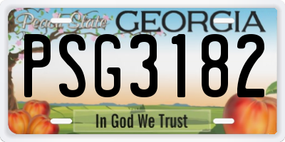 GA license plate PSG3182