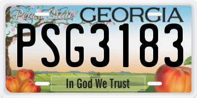 GA license plate PSG3183