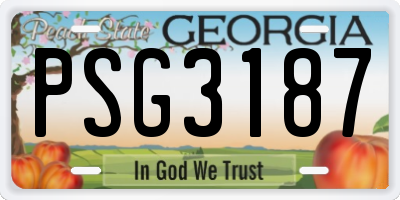 GA license plate PSG3187