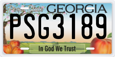 GA license plate PSG3189