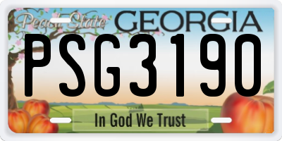 GA license plate PSG3190