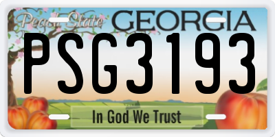 GA license plate PSG3193
