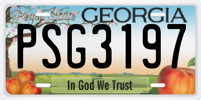 GA license plate PSG3197