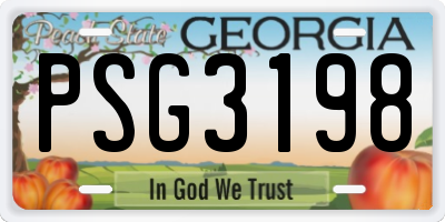 GA license plate PSG3198