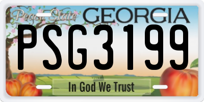 GA license plate PSG3199