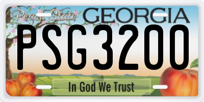 GA license plate PSG3200