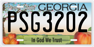 GA license plate PSG3202
