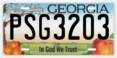 GA license plate PSG3203