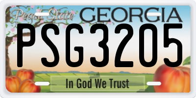GA license plate PSG3205