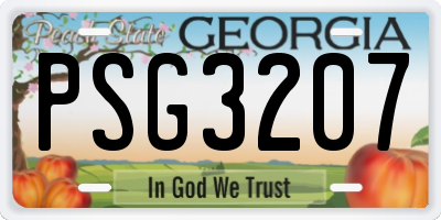 GA license plate PSG3207