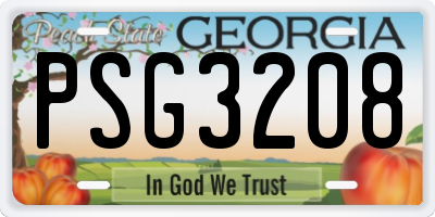 GA license plate PSG3208
