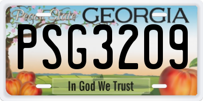 GA license plate PSG3209