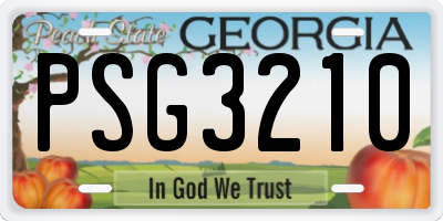 GA license plate PSG3210