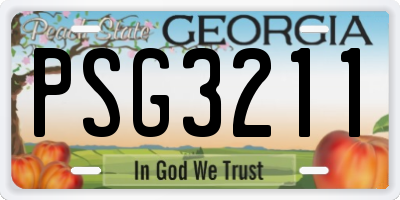 GA license plate PSG3211