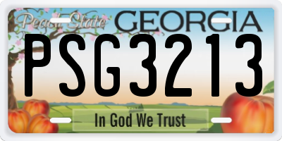 GA license plate PSG3213
