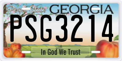 GA license plate PSG3214