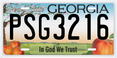 GA license plate PSG3216