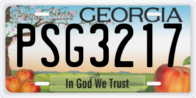 GA license plate PSG3217